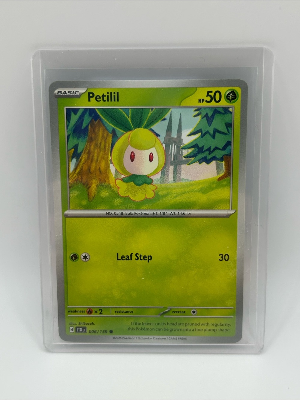 Petilil Pokémon Card 006/159 JTG EN